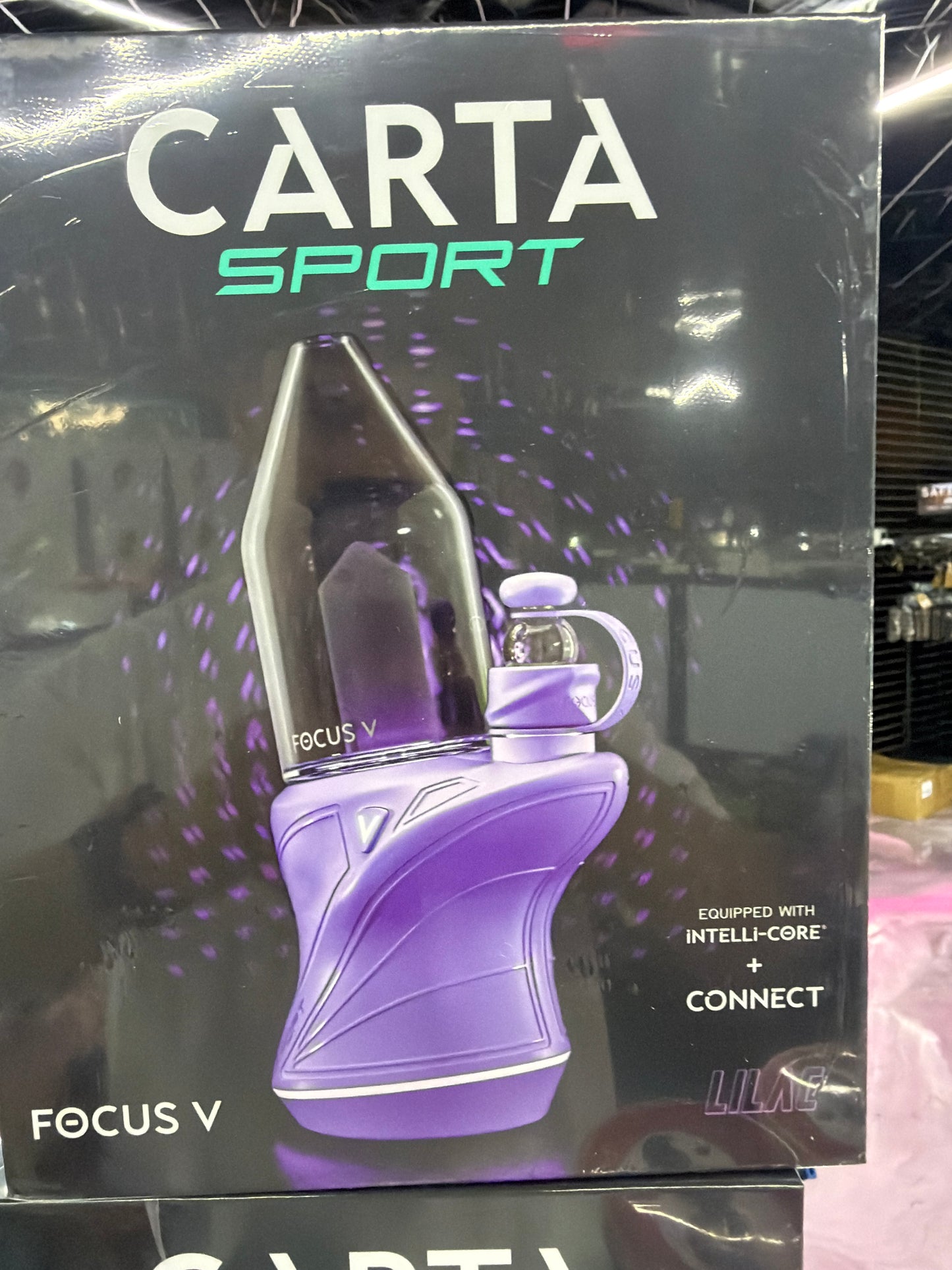 FOCUS V CARTA SPORT|LILAC