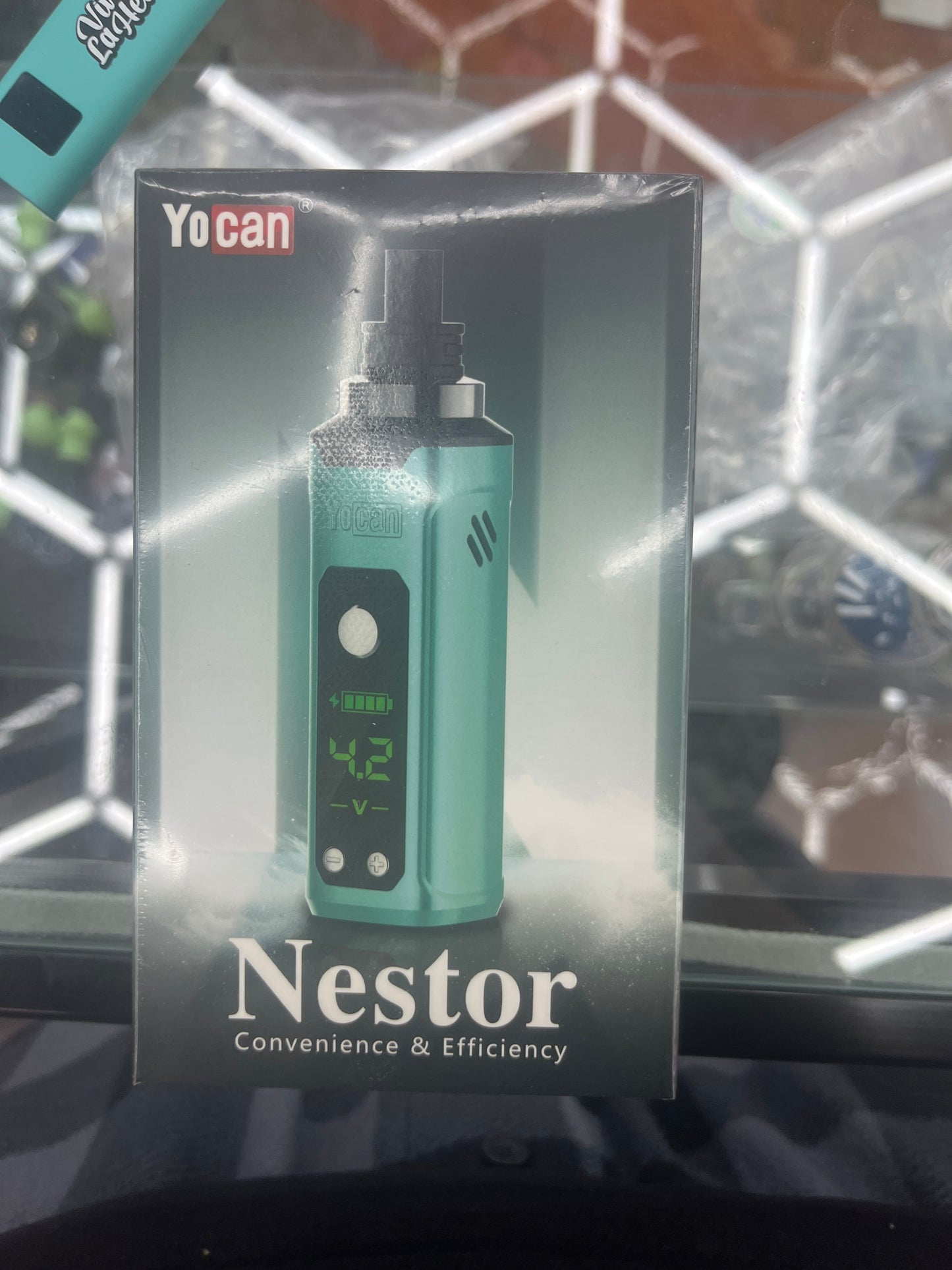 YouCan Nestor fresh green