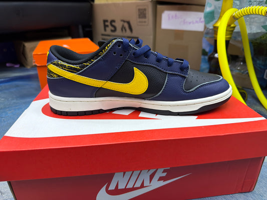 Nike Dunk Low Vintage Michigan size 10