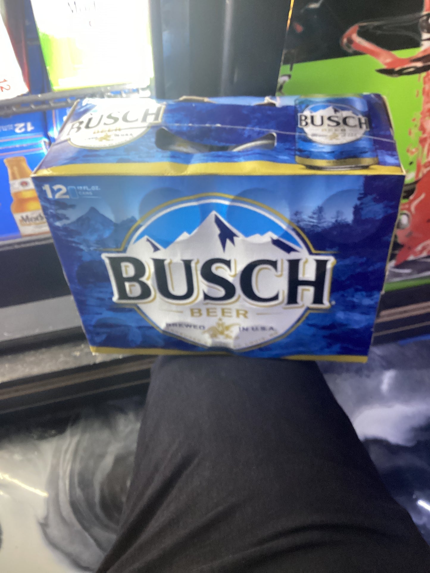 Bush beer 12 pack cans 12oz