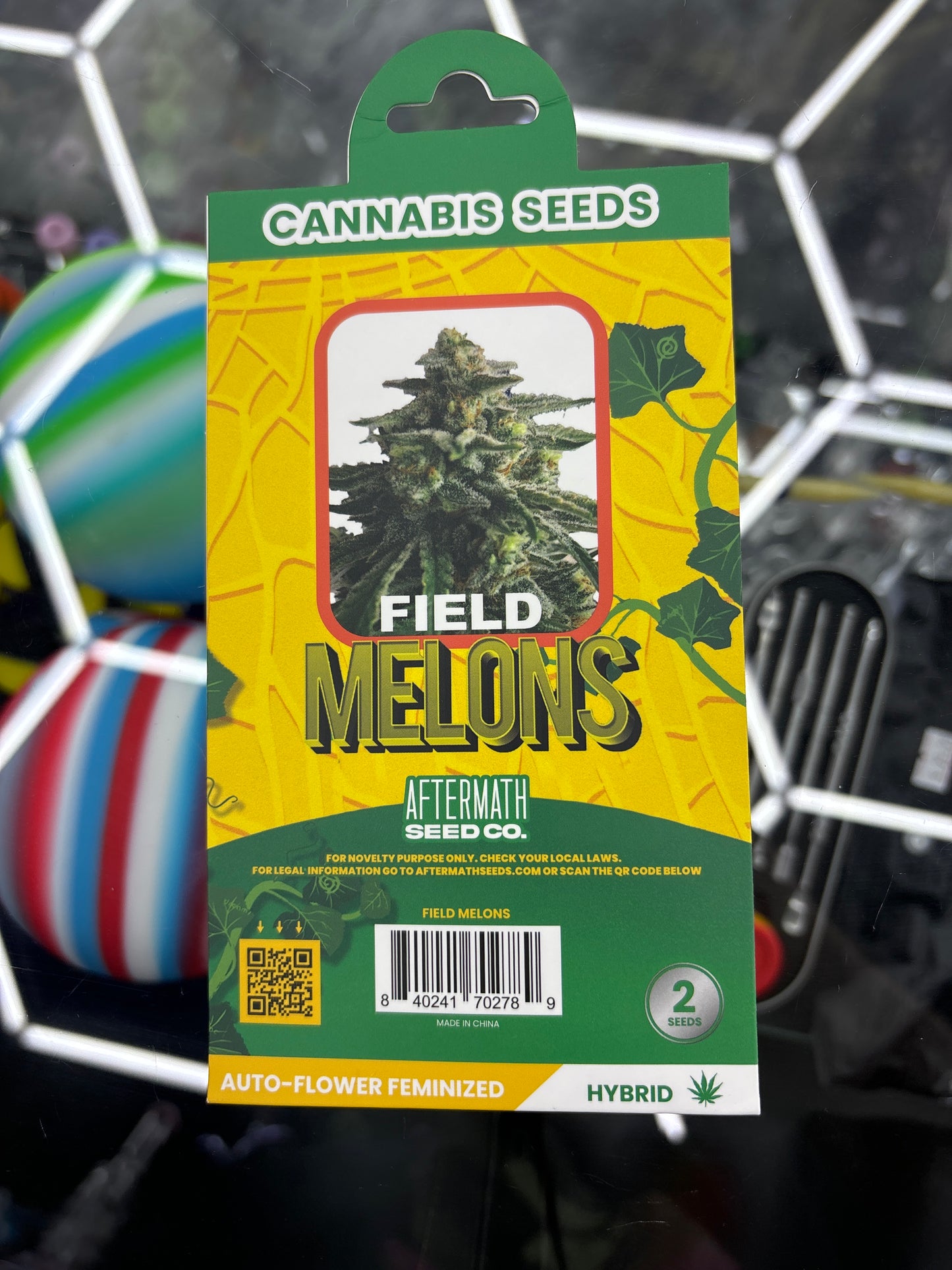 Cannabis seeds field melons 2 seeds