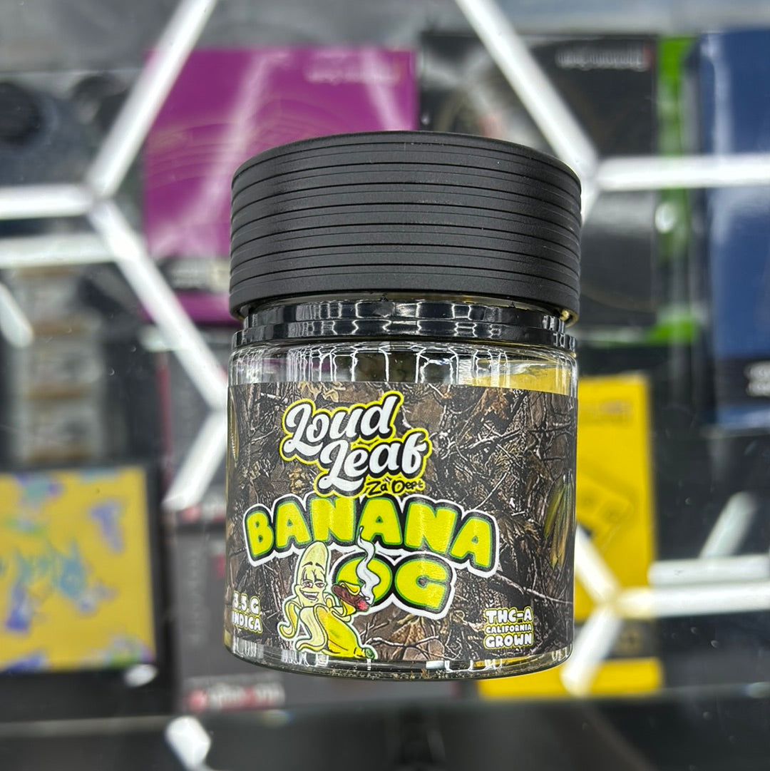 Loud leaf banana OG 3.5 Indica