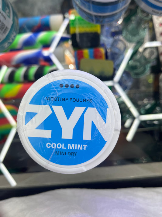 ZYN COOL MINT mini dry