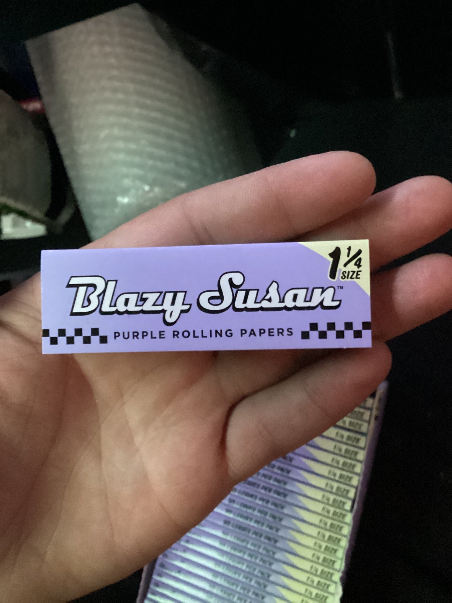 Blazy susan purple 1 1/4