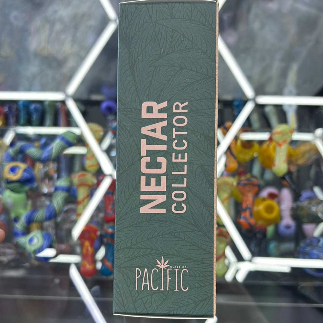 Pacific nectar collector purple